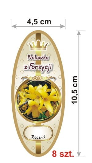 831 - b - forsycje.jpg