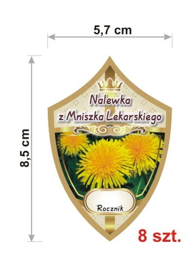 318 - b - mniszek lekarski.jpg