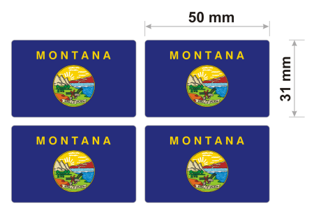 montana 2.png