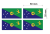 flaga_wyspy bozego narodzenia.png
