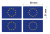 flaga unia europejska 1.png