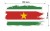 Naklejka wodoodporna z flagą Surinamu w stylu duszka. Podane są wymiary, szerokość  13 cm i wysokość 7 cm. Na zewnątrz flagi państwa Surinam znajduje się biała obwódka stanowiąca białe tło dla flagi Surinamu.