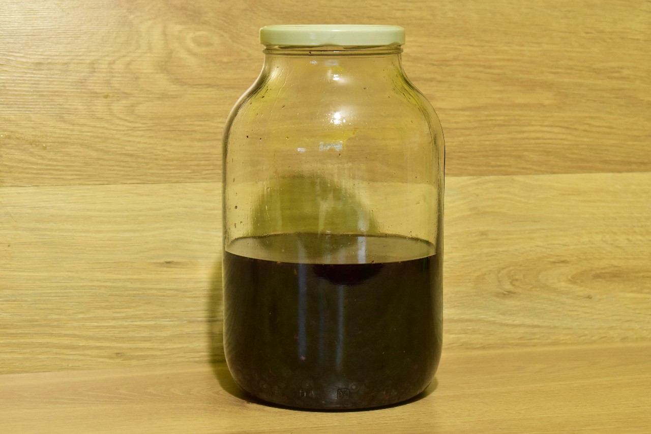 nalewka borówkowa 3